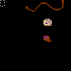 Download map Dragons' starvation - heroes 3 maps