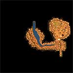 Download map Annavantas Suche Teil 3 - heroes 5 maps