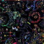 Download map Burned Land - heroes 5 maps