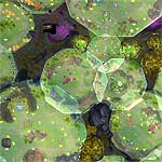 Download map BIOSPHERES - heroes 5 maps